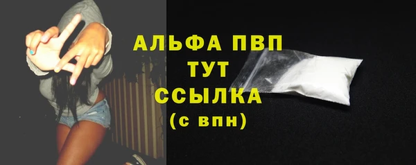 эйфоретик Арсеньев