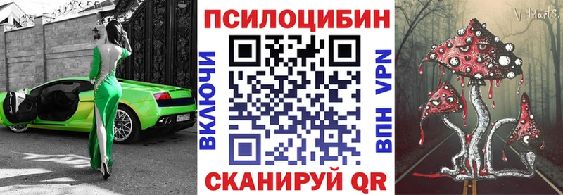 Псилоцибиновые грибы Cubensis  Собинка 